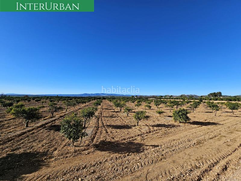 Foto 83a81875-422b-449f-bd62-b797b5a70d09. Finca rústica a Santa Bárbara Llíria