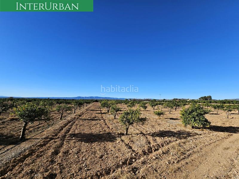 Foto c17375b1-0987-4b59-bbd1-c9b2074ff0e1. Finca rústica a Santa Bárbara Llíria