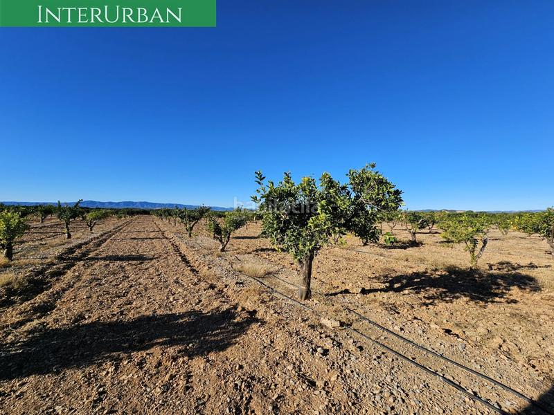 Foto c7e34f26-ff0d-4040-af7a-72bb8f98fa48. Finca rústica a Santa Bárbara Llíria