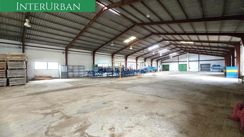 Foto 3c76fe7d-5c73-4962-93c8-536b93e452a1. Alquiler nave industrial  de 2.500 m en lliria con acceso camiones, oficinas y zona de carga en Llíria