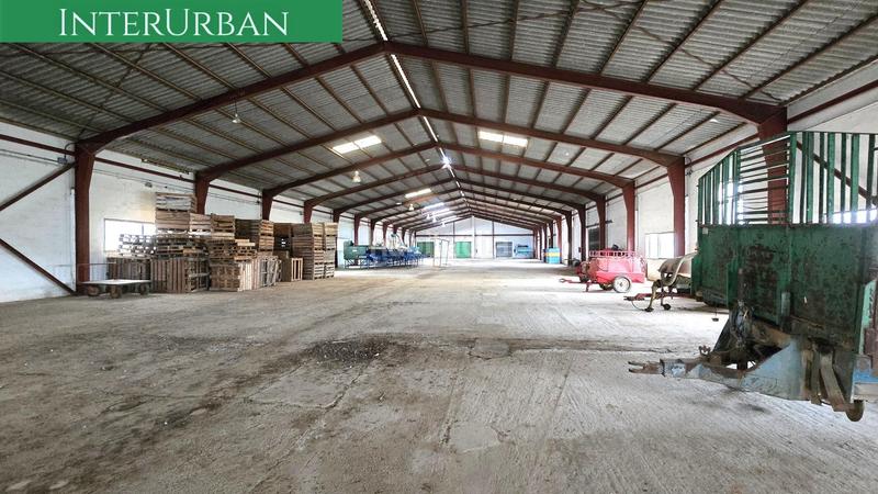 Foto 715210a9-782a-453a-a6d4-e3a99a876561. Alquiler nave industrial  de 2.500 m en lliria con acceso camiones, oficinas y zona de carga en Llíria