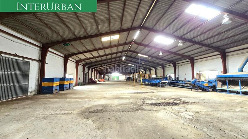 Foto 94c4e1eb-3b99-4162-9db5-ee27e57e3a91. Alquiler nave industrial  de 2.500 m en lliria con acceso camiones, oficinas y zona de carga en Llíria