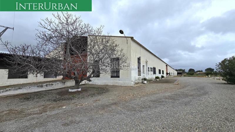 Foto f481e803-e804-4beb-a040-b980cbbcb668. Alquiler nave industrial  de 2.500 m en lliria con acceso camiones, oficinas y zona de carga en Llíria