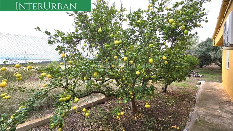 Foto 0e91f6fb-f6c6-4b6e-b90b-39e8ec35c792. Chalet avec parking piscine dans Casinos