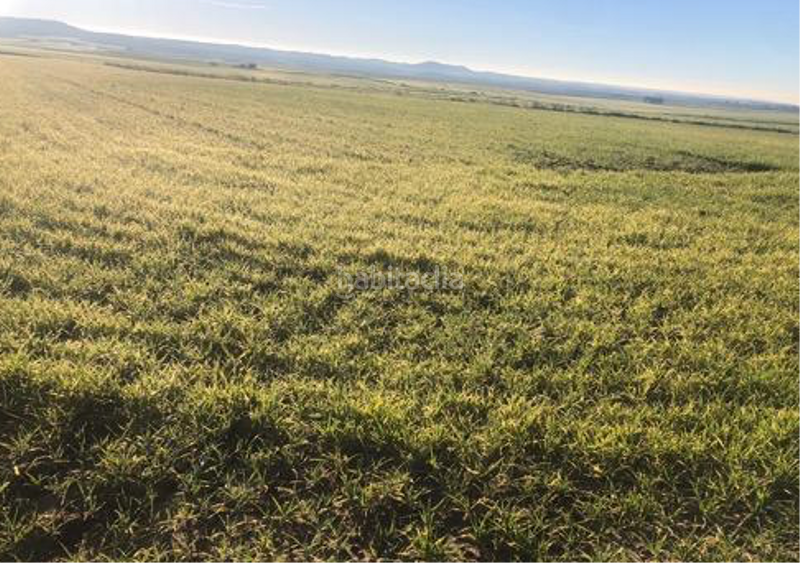 Foto 77d5816c-fd81-47e2-aa37-eb70f135e1eb. Terreno residenziale in Torrejón de Velasco