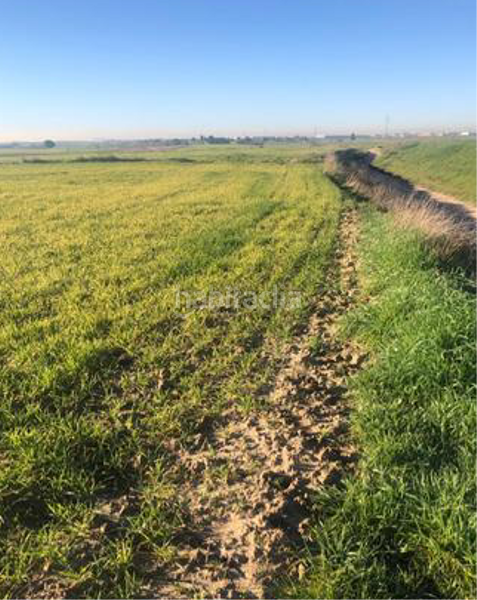 Foto dd87d0fe-4781-4433-a3fb-7b64138c09f4. Terreno residenziale in Torrejón de Velasco