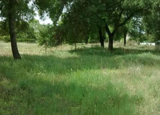 Residential Plot in Escalona. Parcela rustica en escalona