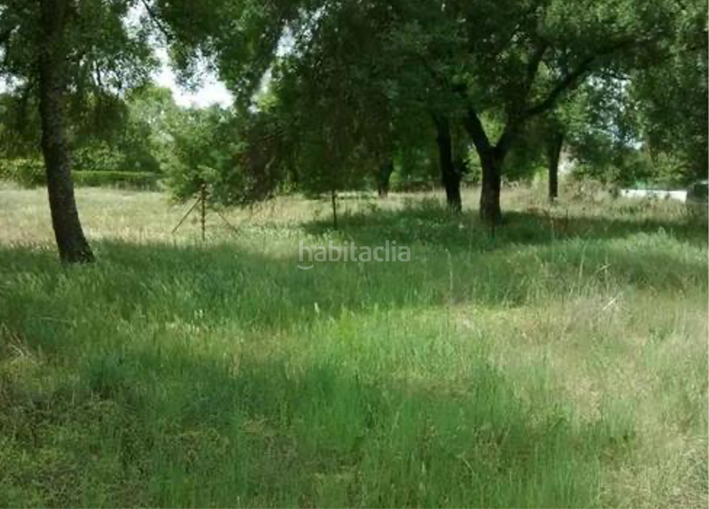 Foto 1682797f-ed90-4840-b90e-11dbbc849135. Wohngrundstück in Escalona