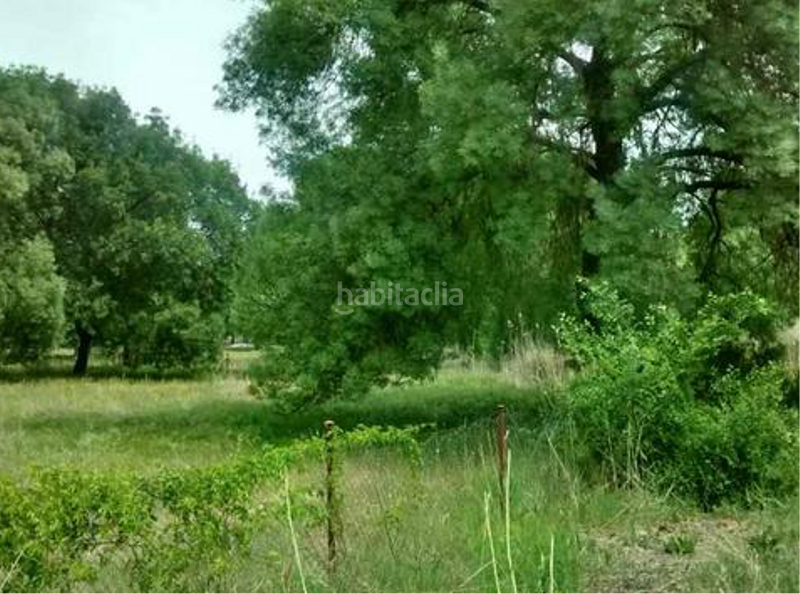 Foto 9293896f-b06e-43f0-987a-c15e4ec69614. Wohngrundstück in Escalona