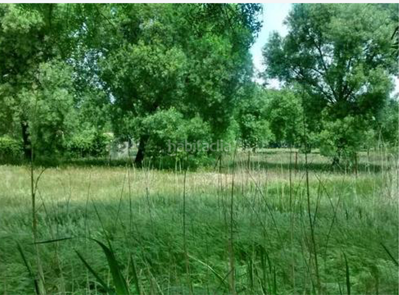 Foto f5d5a29e-b2e8-4578-b938-aa5a5a8fe30b. Wohngrundstück in Escalona