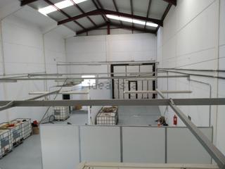 Miete Fabrikhalle in Buenavista-Valparaíso-La Legua. Nave industrial en toledo poligono