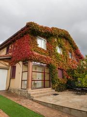 Chalet  Calle venta del cornejo