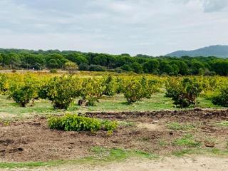 Rural plot in San Martín de Valdeiglesias