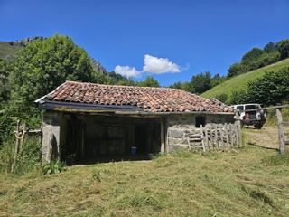 Mas à Aller. Oportunidad única! terreno rústico de 13.312 m con cuadra de pie