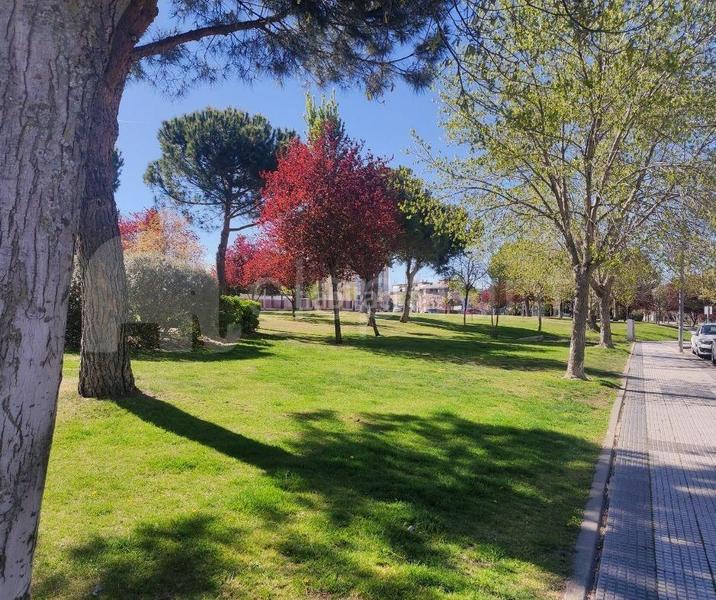 Foto d35941d5-1d50-4f72-9012-ae63d0078b30. Xalet amb calefacció aparcament piscina a Cortijo sur Boadilla del Monte