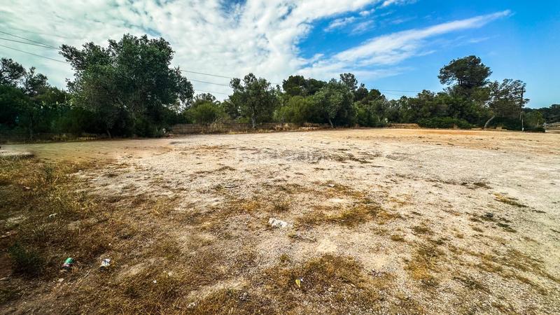 Foto ebcc226f-bf86-42ac-8c98-3b5420fa4f94. Local commercial dans Algaida