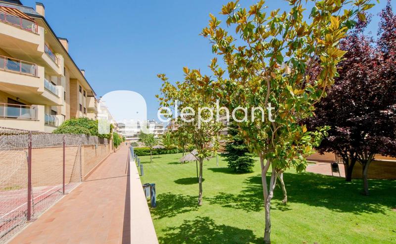 Foto ad764aa3-ed28-49d5-90b4-92be91d3ef52. Ground floor with heating parking pool in Viñas Viejas Boadilla del Monte