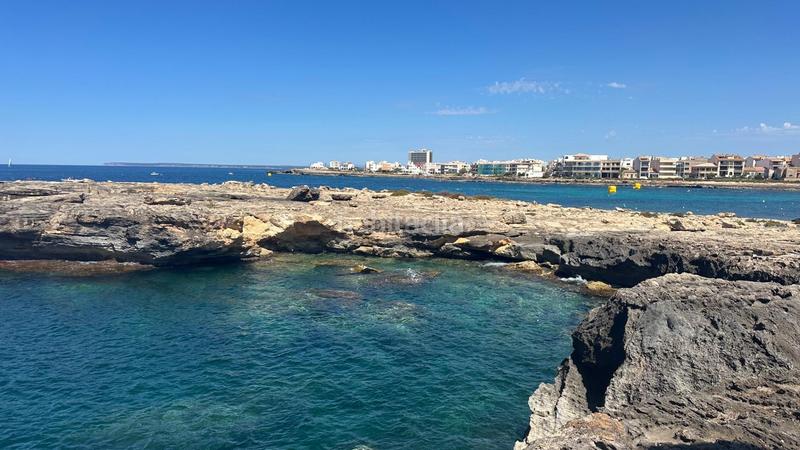 Foto cb4c0809-d1b4-4b6d-8366-105d046020c1. Casa amb aparcament a Colònia Sant Jordi Ses Salines