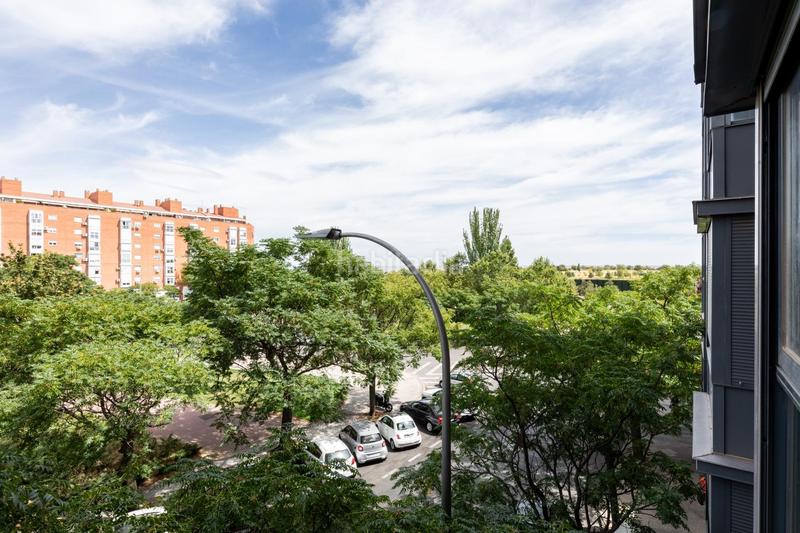 Foto d07aeb16-caf3-4d23-8ad9-8c24effcafb1. Apartament amb calefacció aparcament piscina a Rosas - Musas Madrid