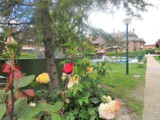 Location Attique à Calle islas pitiusas 23