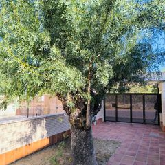 Location Appartement  Calle lope de vega. Piso en alquiler en calle lope de vega s/n moralzarzal