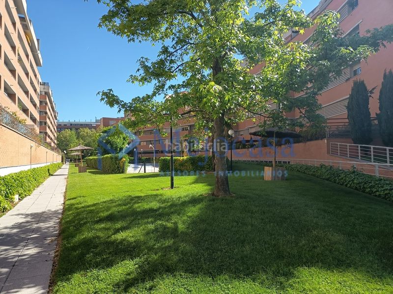 Foto 6a091df0-5f70-4e0c-a15e-9dcae95d6583. Pis amb calefacció aparcament piscina a Alameda de Osuna Madrid