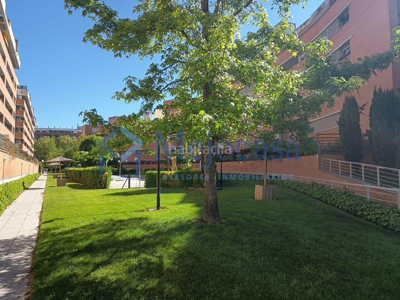 Foto d78f2128-0a3b-4a84-9676-2a7bbc9dc389. Pis amb calefacció aparcament piscina a Alameda de Osuna Madrid