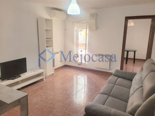 Flat in Calle del Lago Constanza
