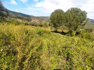 Rural plot in Carrer de ca n'armengol 3. Finca rústica en venta a 2,5 km de corbera de llobregat