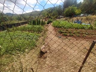 Wohngrundstück in Carretera corbera a gelida 83. Finca rústica de 2.000 m² con refugio, huertos y acceso fácil a