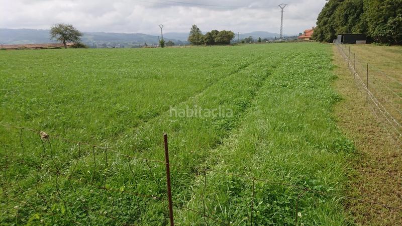 Foto f7b8f387-f317-49b6-beb1-8ee9a8e227d5. Terrain résidentiel dans vv-4 1 dans Tazones - Argüero Villaviciosa
