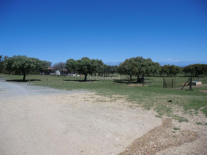 Foto 24b44bce-9d08-43e5-bd94-530cfe086232. Edifici a Serrejón