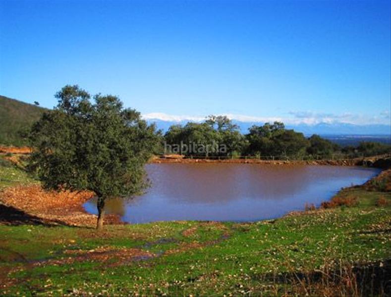 Foto 5a263dfe-e435-4007-ae8e-218a6665b23d. Edifici a Serrejón