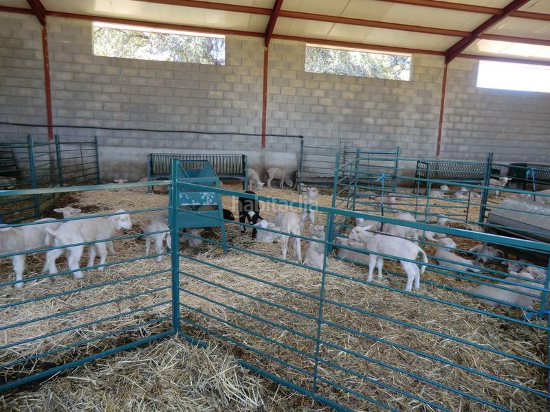 Foto bc2b2a14-ec68-4739-9585-35bbf93a8432. Edifici a Serrejón