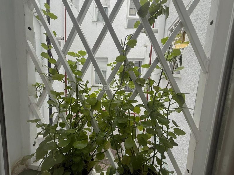 Foto 1b190893-023d-499b-9279-2e68e67e6e22. Pis amb calefacció a El Viso Madrid