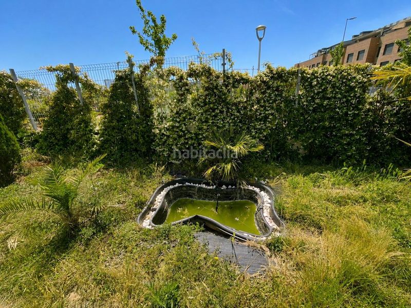 Foto 150a18de-cd96-4c9e-8cb2-a5ea6b9a6210. Planta baixa amb calefacció aparcament piscina a Villalbilla