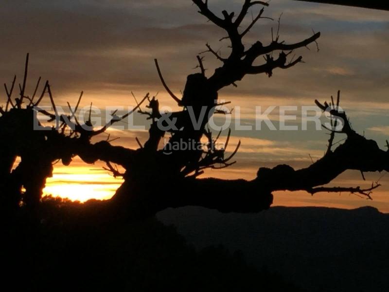 Foto 244a8fc6-4dfd-46e2-a9f9-84a65a4cb9cf. Local comercial a Molins de Rei