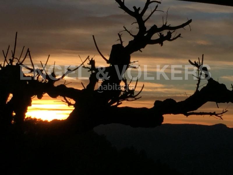 Foto 5eb7e6ea-6a83-41b1-9a3d-e74c64b49ce1. Local comercial a Molins de Rei