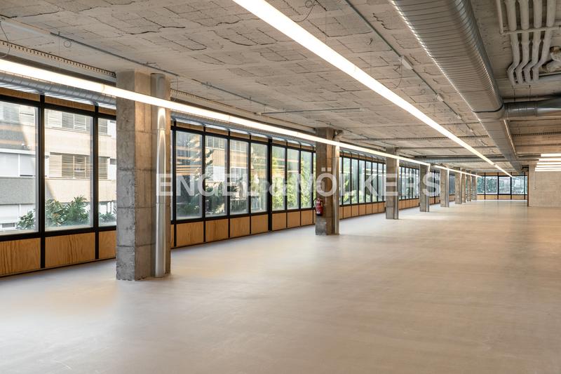 Foto 3e6ed7ed-9f4e-4da2-95e8-f2e24d6e3ce5. Location bureau dans Sant Ramon - Maternitat Barcelona