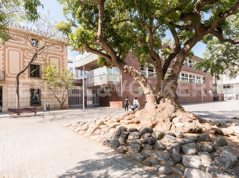 Foto 17c6727a-5274-41b2-b18c-e28cb8c65c8c. Oficina a Sant Ramon - Maternitat Barcelona