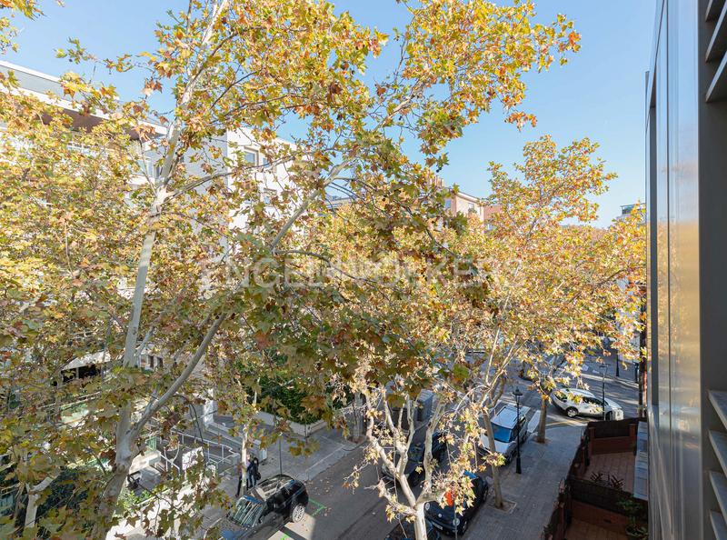 Foto 9a57215d-104a-46b0-aa7f-ee39de20fd7d. Rent office space in Tres Torres Barcelona