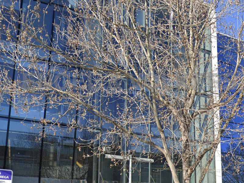 Foto a45be63b-974e-4f13-b6b4-5fb9133eb76f. Oficina  en rentabilidad 79 m2 en edificio exclusivo en en Sant Cugat del Vallès