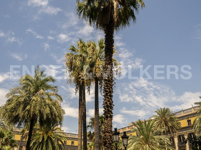 Foto ae995c09-760c-4907-9f13-609d6f3f439e. Local comercial a El Camp de l´Arpa del Clot Barcelona
