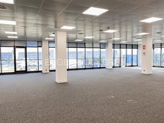 Rent Office space in Zona Industrial. Oficina con mucha luz natural.