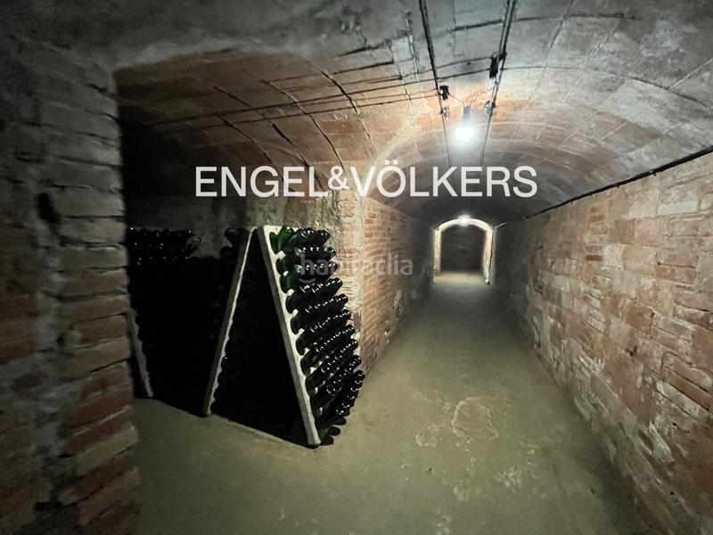 Foto 6e19b2c1-6014-4836-af6f-c715bdeb6636. Lloguer local comercial a Centre Masnou (El)