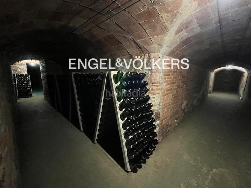 Foto c3906349-fd38-419c-95e1-53e24f0bbdf8. Lloguer local comercial a Centre Masnou (El)