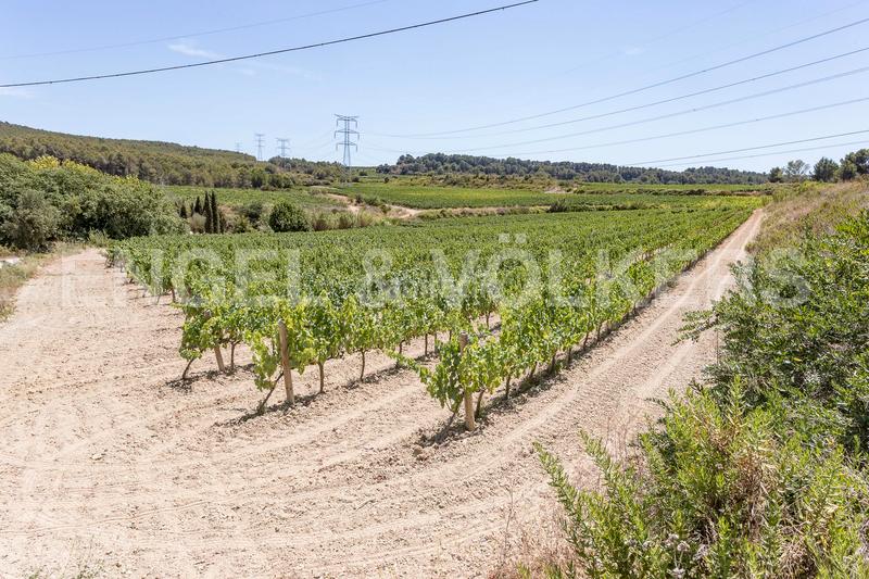 Foto 181e2dd0-de1f-4d64-9b1f-66f22c403bb4. Edifici a Subirats