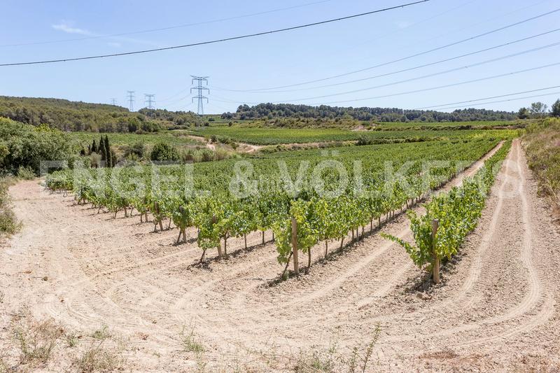 Foto 4917cbd4-5341-4f1d-9ac1-51be449cb714. Edifici a Subirats