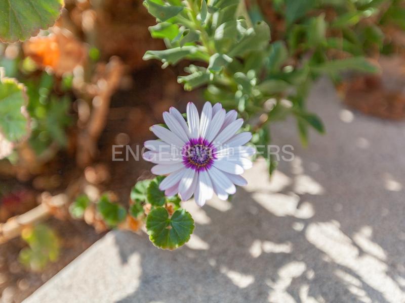 Foto 980b7d83-d40c-487c-bfa1-9b437c8569cd. Location bureau avec parking dans Poble Sec Sant Quirze del Vallès