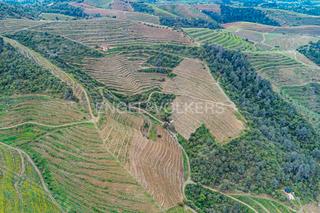 Terreny residencial a Bellmunt del Priorat. Finca de 13 h, 7 h de viñedos en bellmunt del priorat tarragona